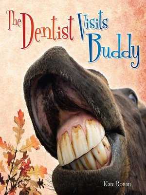 cover image of The  Dentist Visits Buddy